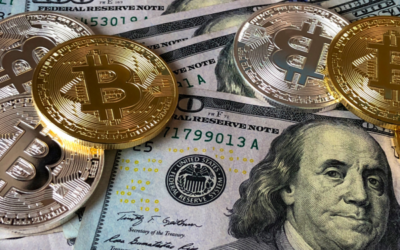 Secure & Insured: Why High-Yield Savings Outperforms Crypto