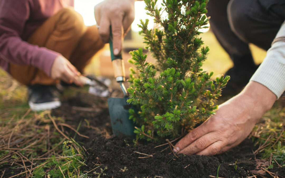 Big Deposit Growth Doesn’t Have to Mean Big Overhead