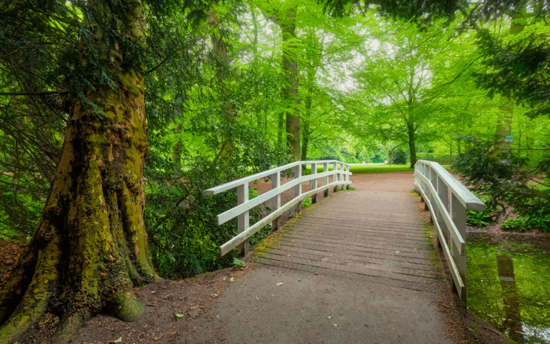 Bridging Loan-to-Deposit Ratio Imbalances with Digital Channels