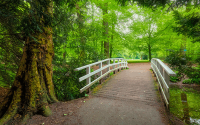 Bridging Loan-to-Deposit Ratio Imbalances with Digital Channels