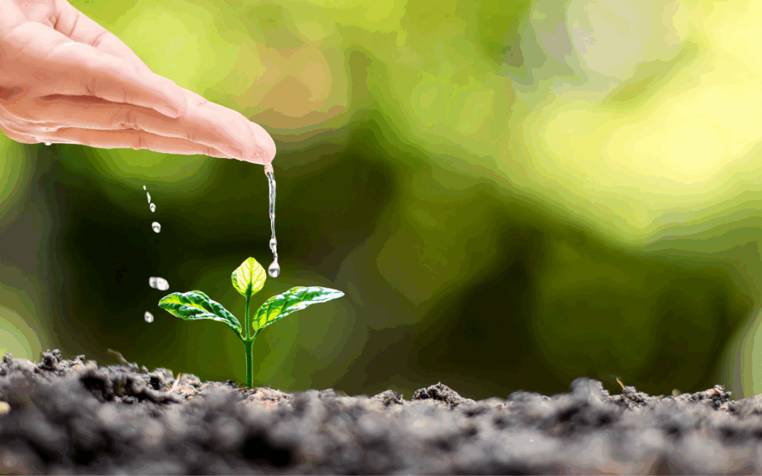 Reducing Your Dependence on Costly Short-Term Funding Sources